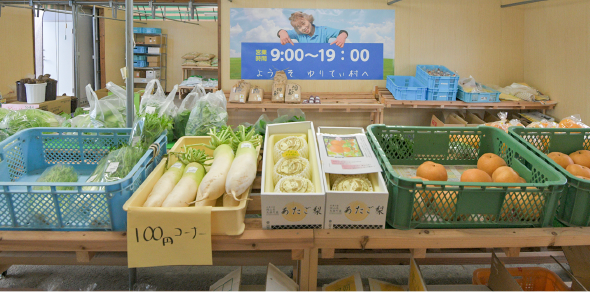 矢掛町採れたて新鮮野菜コーナー