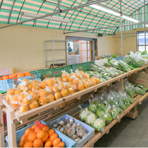 矢掛町の新鮮野菜